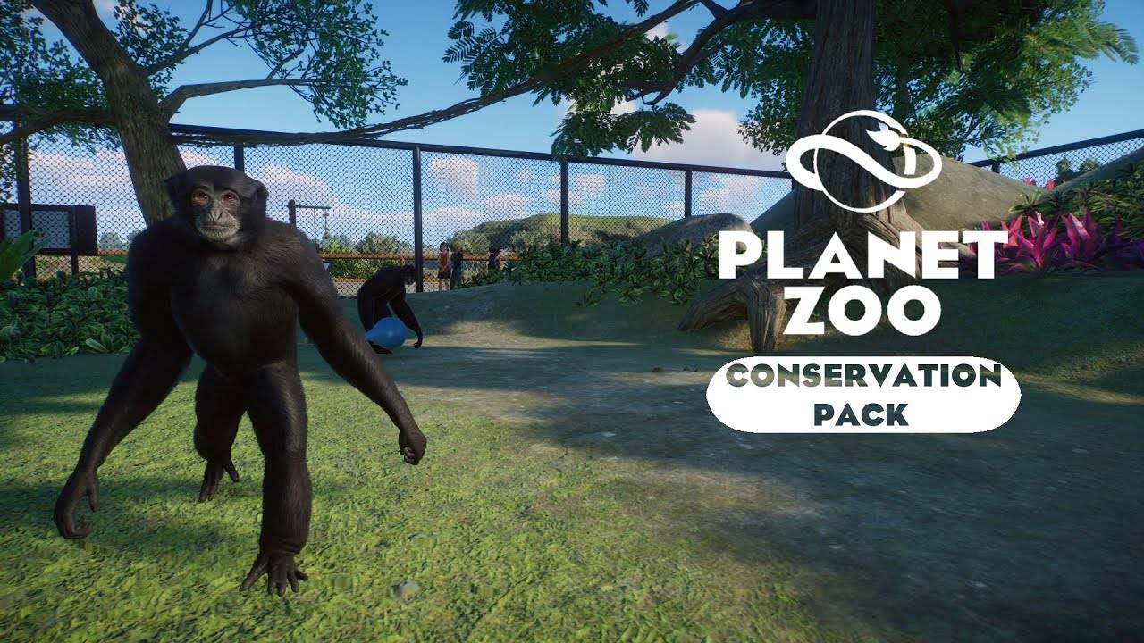 Planet Zoo: Conservation - Сиаманги