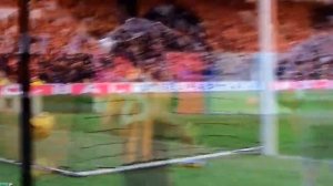 Hull City vs Newcastle 0-1 31/01/2015 GOAL