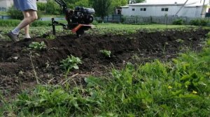 Мотоблок Ока мб 1д1,окучивание картофеля