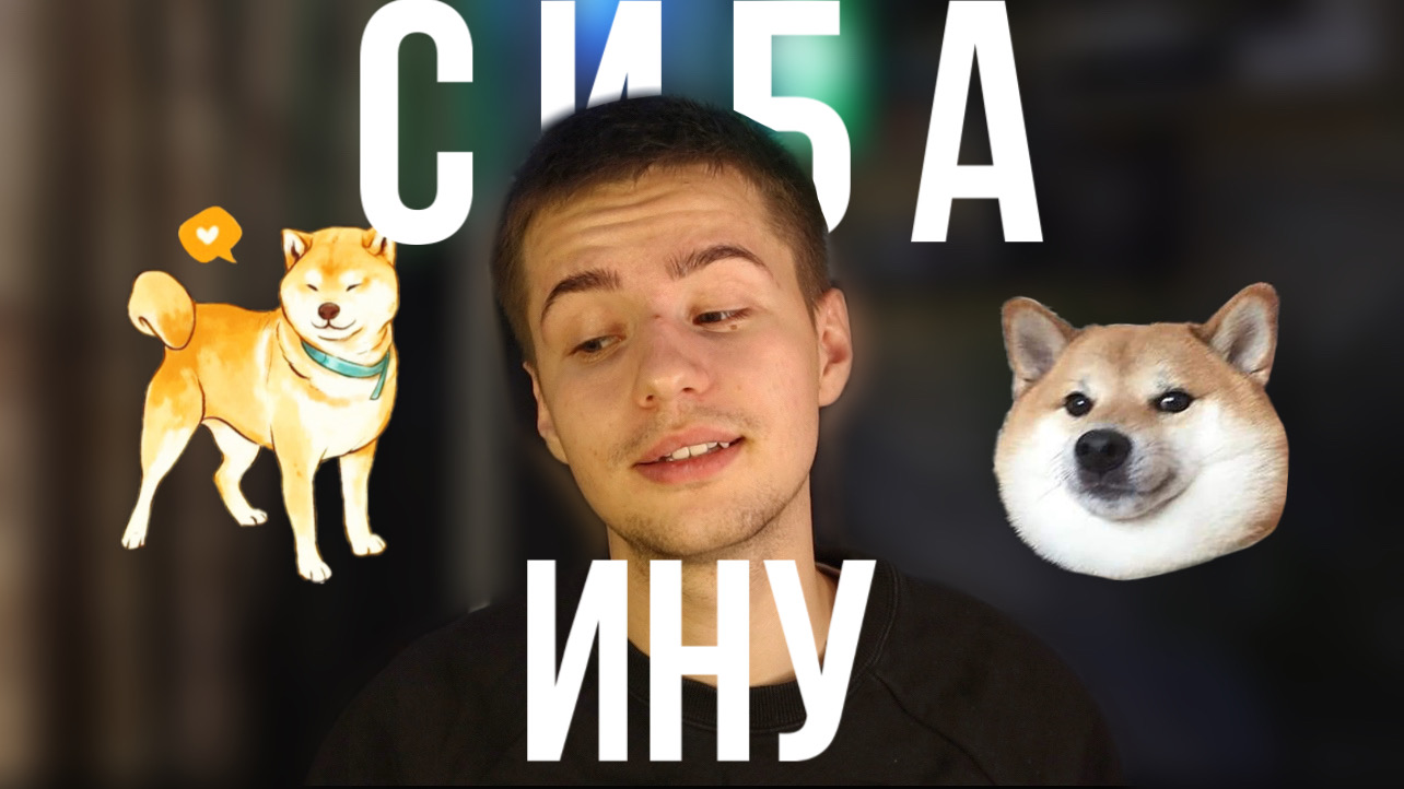 ПОКУПКА СОБАКИ