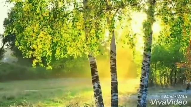 Сергей Александрович Есенин. "С добрым утром!" смотреть онлайн