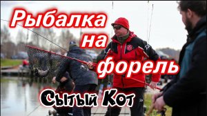 СЫТЫЙ КОТ  Платная рыбалка на форель. Соревнование