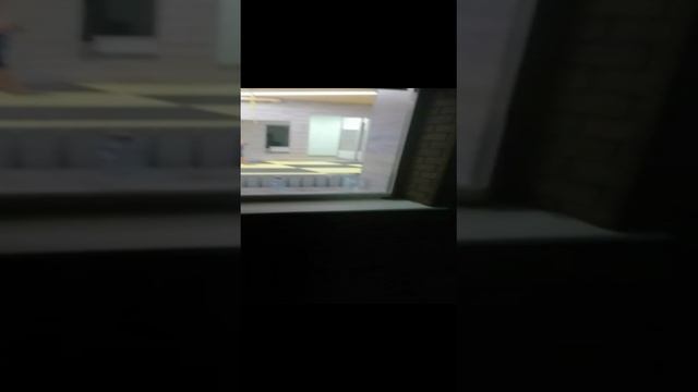 Одна из последних тренировок тхэквандо в Волгограде этим летом