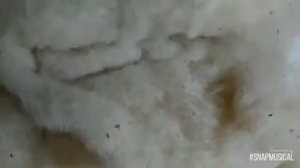 Сливер. Шерсть для валяния