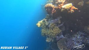 Nubian Island and Village 5* (Египет, Шарм эль Шейх)