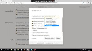 как очистить кэш и историю браузера