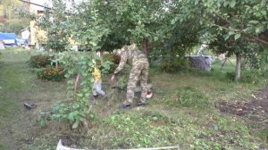 Трудовое воспитание