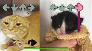 Бойфренд против Марио ЕХЕ