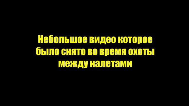Охота на уток с манками и чучелами. Разливы и мелководье. смотреть онлайн