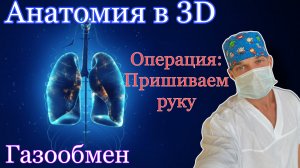 Анатомия в 3d (грудная полость, лёгкие) Операция в 3д баллонный катетер и реплантация конечности.