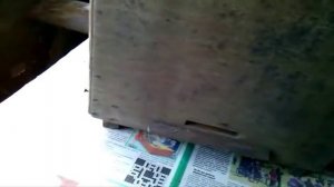 Ловушка для ловли пчёл (роёв). Устройство, размеры.