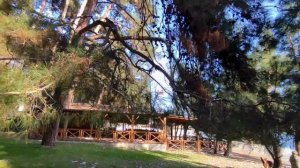 Абхазия 2023 | Погода в Абхазии зимой | Пляжи Пицунды | Зимуем в Абхазии