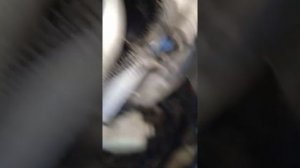 хонда пилот метки грм