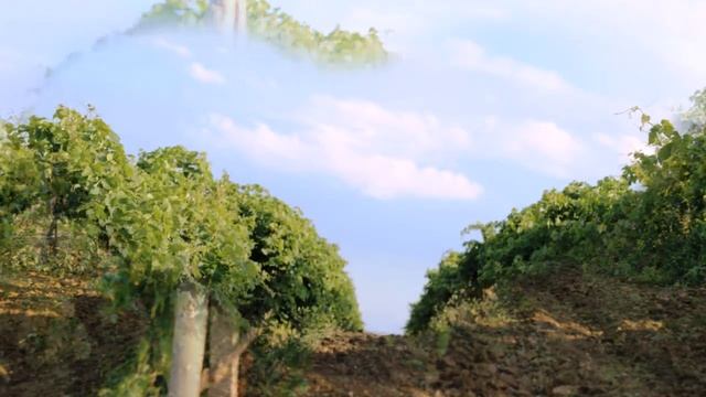 Кучугуры Краснодарский край, грязевой вулкан и термальный источник! Отдых на Азовском море с детьми