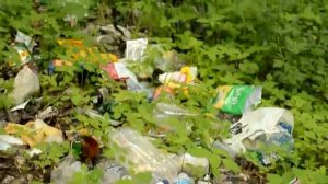 Человек и природа, враги или друзья