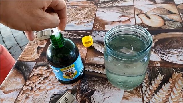 ПЕРВАЯ ПОДКОРМКА РАССАДЫ ОГУРЦОВ смотреть онлайн