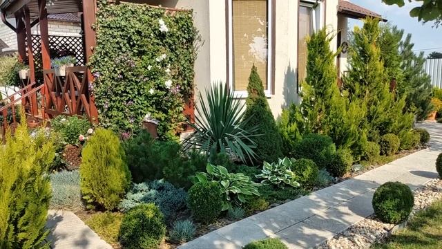 Не Сложный Ландшафт Своими руками ?Как Спланировать участок ? ? Мой Опыт #ландшафтныйдизайн #garden
