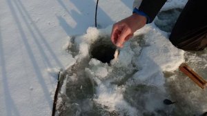 Показываю, как выглядит донка на налима для подледной ловли