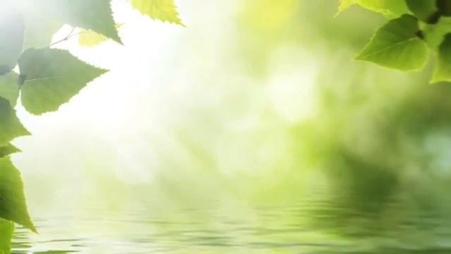 Расслабляющая фортепианная музыка: музыка для сна, звуки воды, расслабляющая музыка, спа-музыка ★ 1 смотреть онлайн