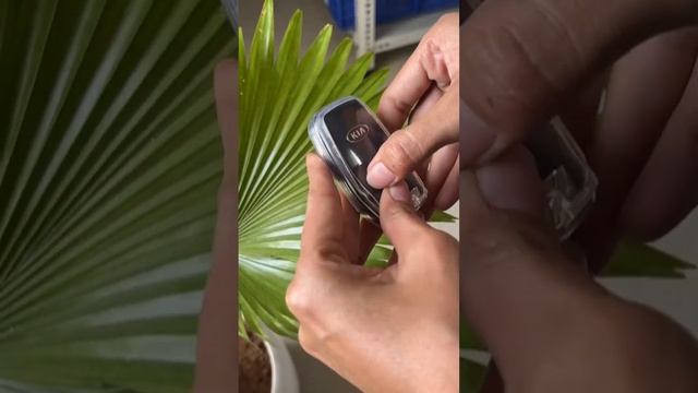 Keyzone clear TPU key cover for Kia Seltos Sonet Carens smart keys
