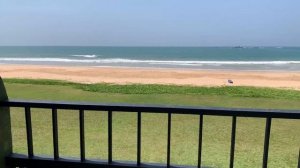 Шри-Ланка. Обзор отеля EKHO Surf. Рыбный рынок. Купание на волнах в Индийском океане. Бурундуки.