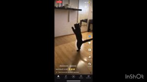 Видео с канала веселья ютуб