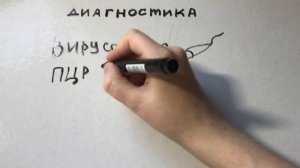 Бешенство. Симптомы, диагностика, лечение. Клинические рекомендации.