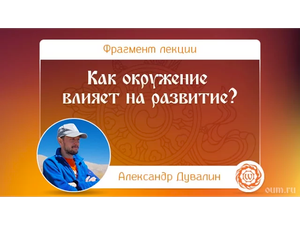 Как окружение влияет на развитие Александр Дувалин