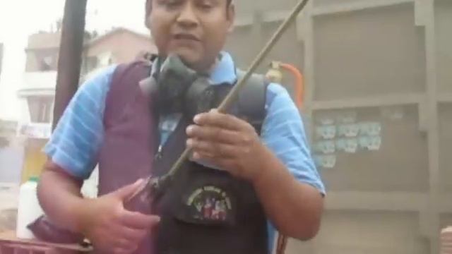 Curando las plantas  con plantas y otros métodos amigables con el ambiente