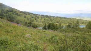 Алексей  Гладков -  Алтая горные хребты