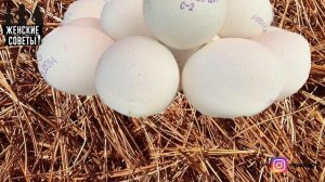 Покупаю Куринные Яйца Только 2 Категории 2С. Рассказываю, почему!