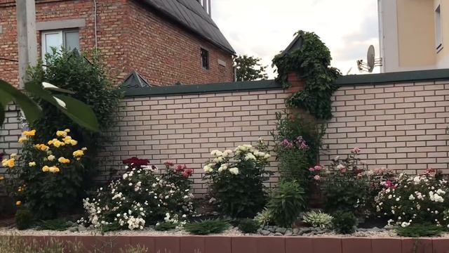 Цветник непрерывного цветения смотреть онлайн