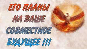 ОСТОРОЖНО! ЕГО ПЛАНЫ МОГУТ ИДТИ В РАЗРЕЗ С ВАШИМИ! Таро гадание|Таро расклад