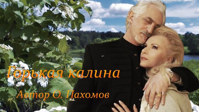 ГОРЬКАЯ КАЛИНА Исполняет Елена Саларёва смотреть онлайн