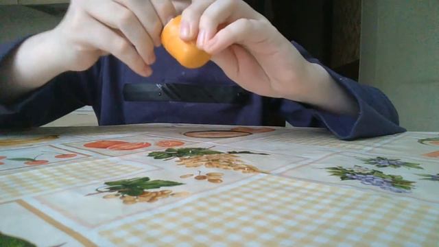 Упаковка kinder сюрприз жизнь домашних животных