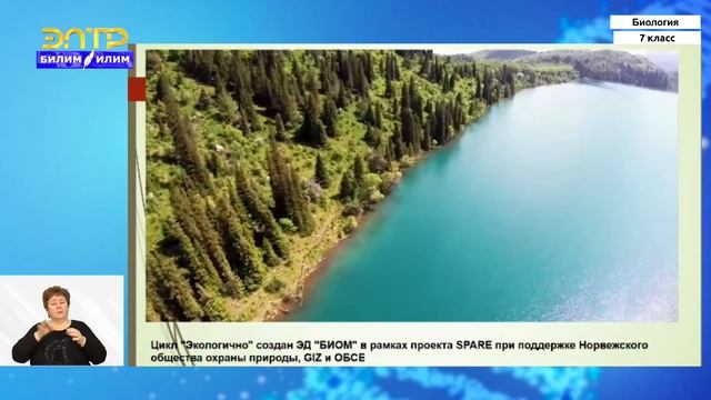 7-класс | Биология | Экологические факторы и их влияние на растения и животных смотреть онлайн