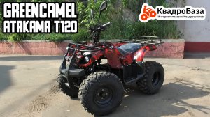 Электрический квадроцикл GreenCamel Atakama T120 купить в магазине KvadroBaza