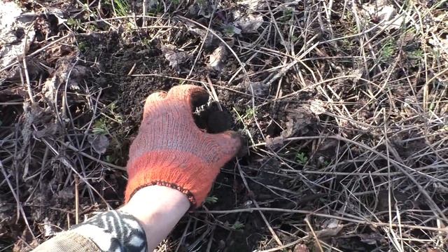 Показал Соседке...и она Дала Сделать Фото. смотреть онлайн