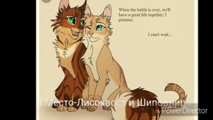 Топ 5 моих любимых шипов по Котам-Воителям