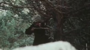 Раненые камни