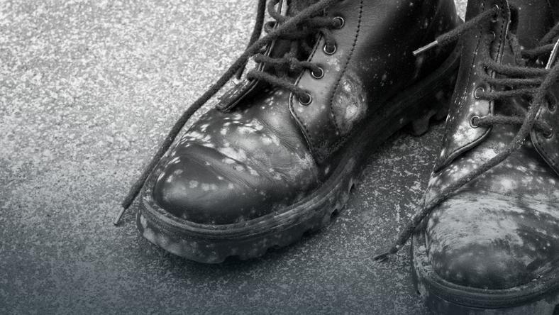 Как избавиться от грибка в обуви. Эффективные способы очистить обувь от грибка дезинфекция обуви.