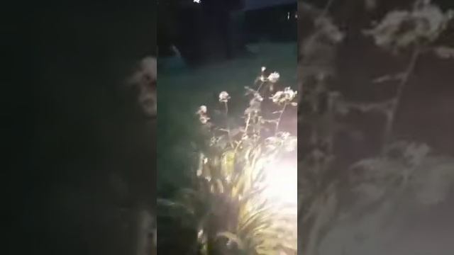 летний вечер на даче ???? смотреть онлайн