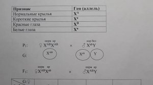 Генетика. Задачи.  Часть 13. Сцепленное наследование. Расстояние между генами 50 морганид.