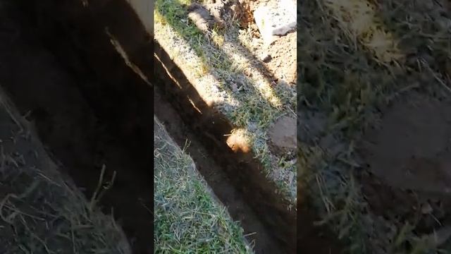 Кольцевой дренаж дома.