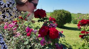 Прогулка по Петергофу.mp4