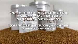 НОВИНКА! ГСК-F Гречишно-спирулиновый корм в виде хлопьев для всех видов рыб