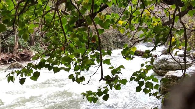 Горная река под музыку 432Гц -Медитация- Mountain river to beautiful music-Meditation. OneTime NAP смотреть онлайн