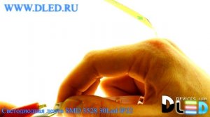 Светодиодная лента IP22 SMD 3528 (30 LED) 12V DC Пурпурная
