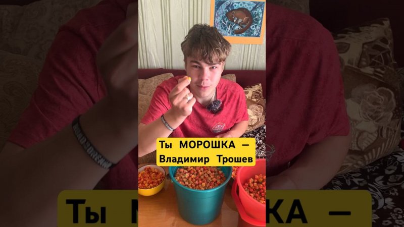 Слышали песню Ты Морошка?