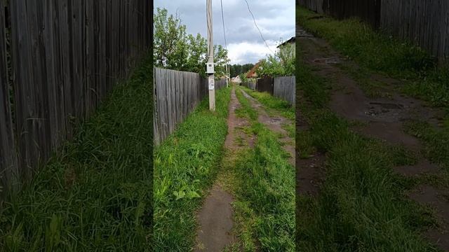 НА ЗОРЬКЕ РОСЫ ХОЛОДНЫ.